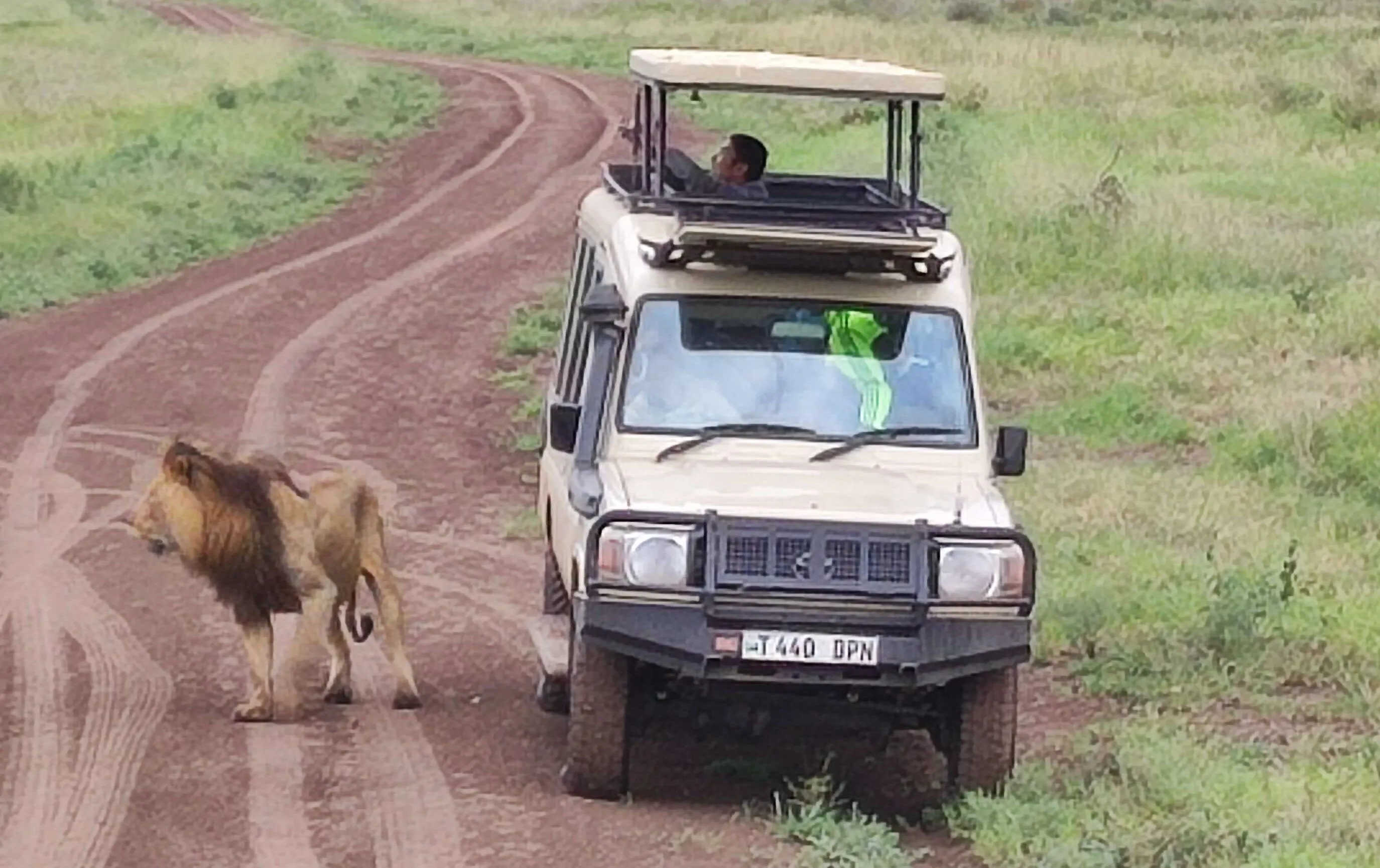Ngorongoro Crater Day Trip from Arusha - Private