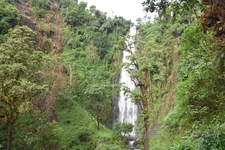 Waterfall, Hot Spring & Coffee Tour in Moshi from Arusha Town - Day Trip